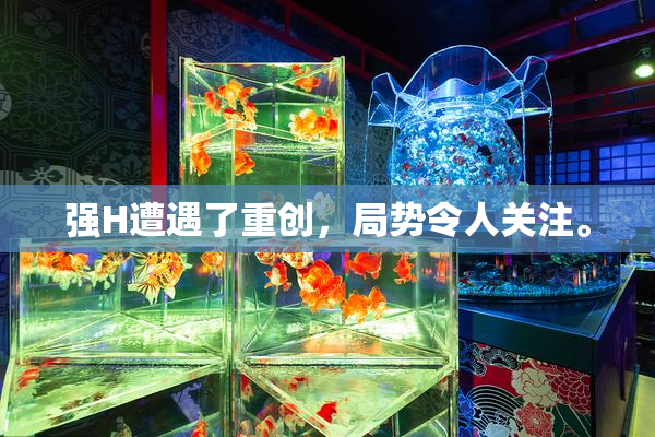 强H遭遇了重创，局势令人关注。
