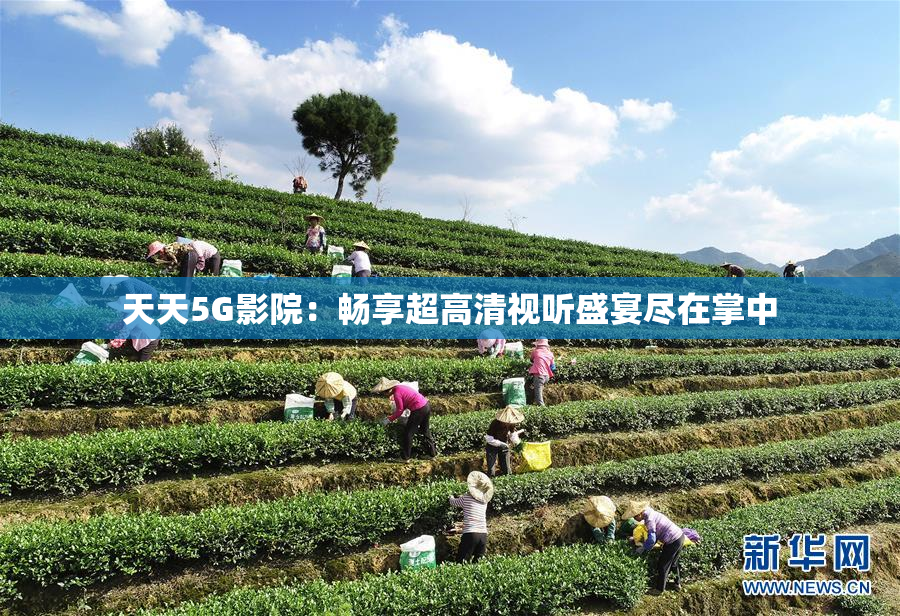 天天5G影院：畅享超高清视听盛宴尽在掌中