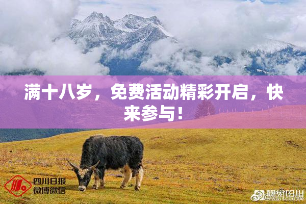 满十八岁，免费活动精彩开启，快来参与！