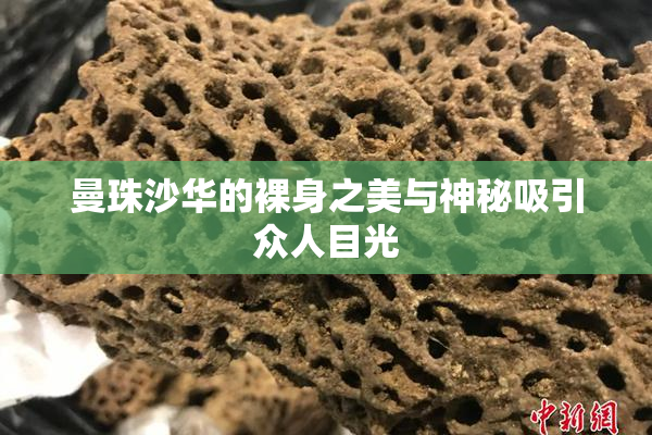 曼珠沙华的裸身之美与神秘吸引众人目光