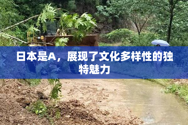 日本是A，展现了文化多样性的独特魅力