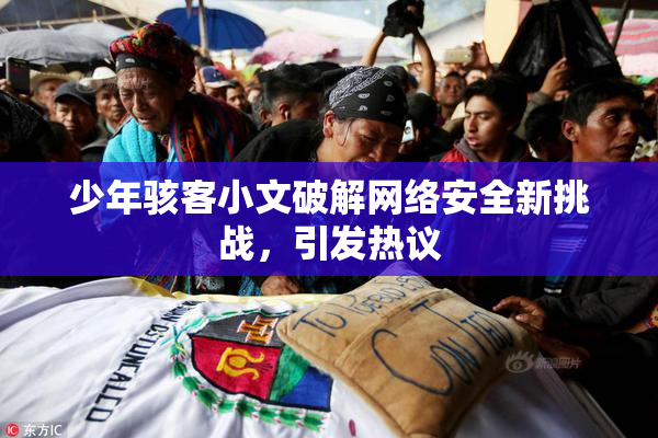 少年骇客小文破解网络安全新挑战，引发热议