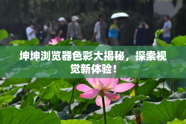坤坤浏览器色彩大揭秘，探索视觉新体验！