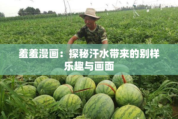 羞羞漫画：探秘汗水带来的别样乐趣与画面