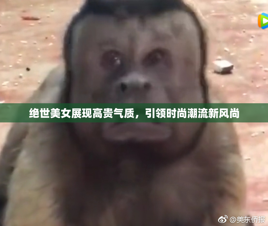 绝世美女展现高贵气质，引领时尚潮流新风尚