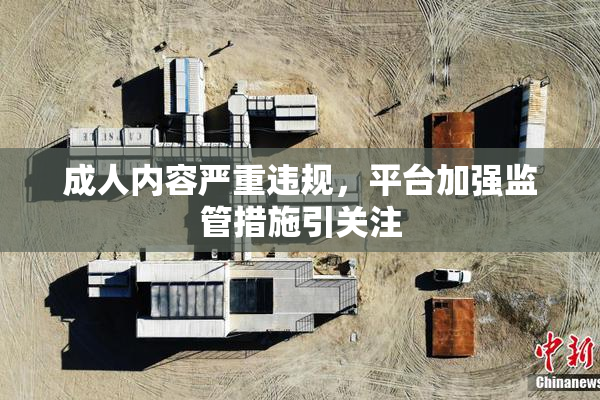 成人内容严重违规，平台加强监管措施引关注