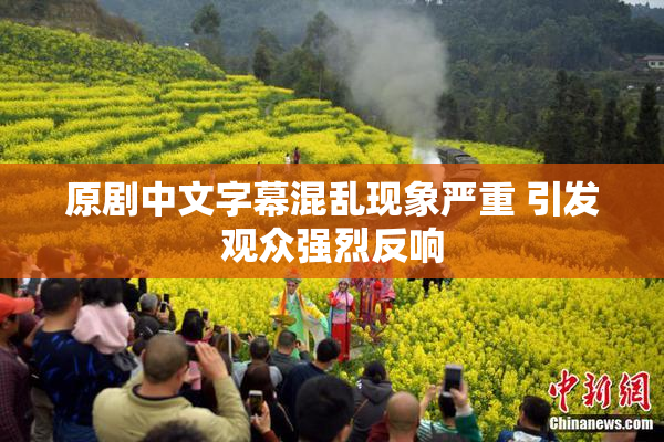 原剧中文字幕混乱现象严重 引发观众强烈反响