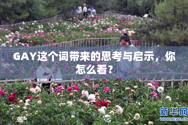 GAY这个词带来的思考与启示，你怎么看？
