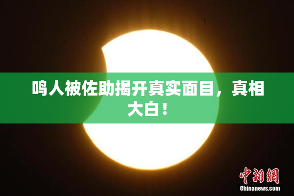 鸣人被佐助揭开真实面目，真相大白！