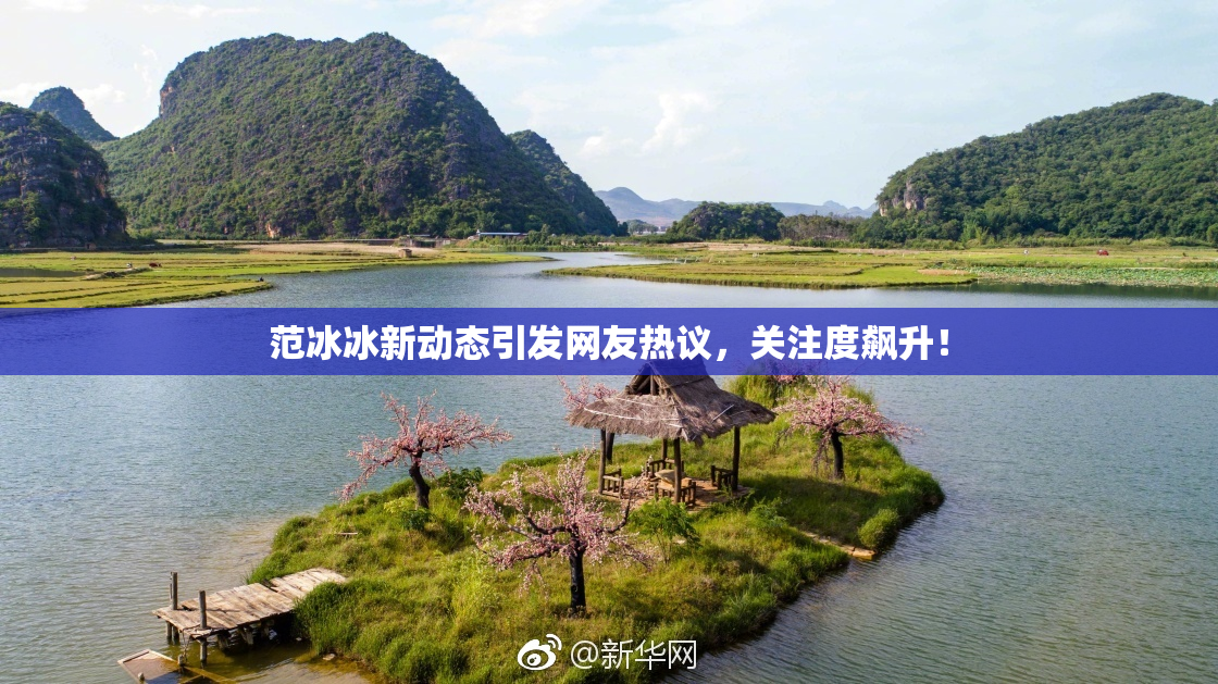 范冰冰新动态引发网友热议，关注度飙升！