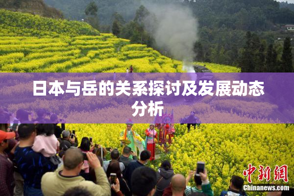 日本与岳的关系探讨及发展动态分析