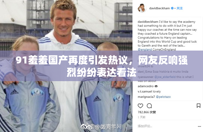 91羞羞国产再度引发热议，网友反响强烈纷纷表达看法