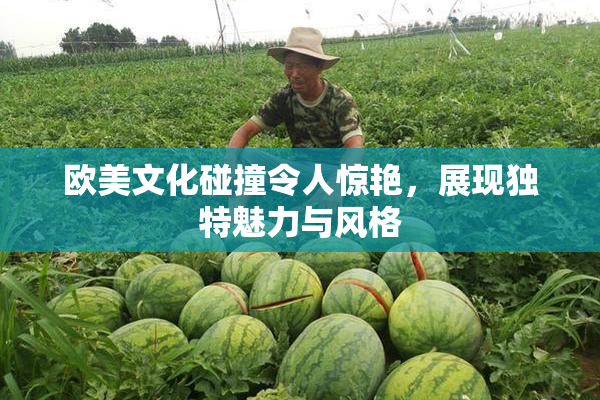 欧美文化碰撞令人惊艳，展现独特魅力与风格