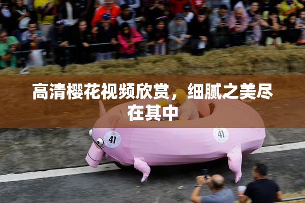 高清樱花视频欣赏，细腻之美尽在其中