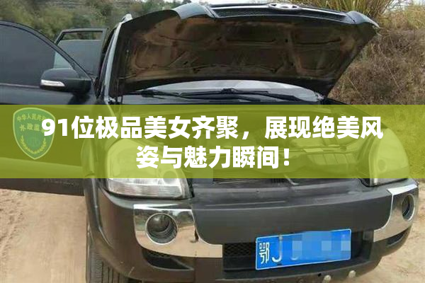 91位极品美女齐聚，展现绝美风姿与魅力瞬间！