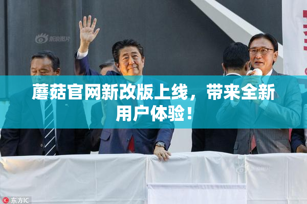 蘑菇官网新改版上线，带来全新用户体验！