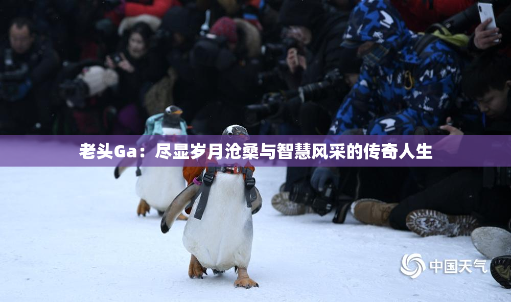 老头Ga：尽显岁月沧桑与智慧风采的传奇人生