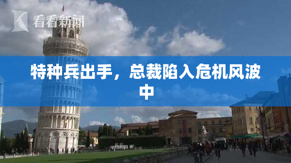特种兵出手，总裁陷入危机风波中