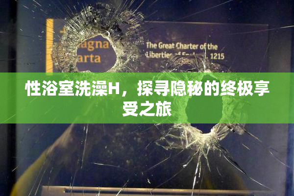 性浴室洗澡H，探寻隐秘的终极享受之旅