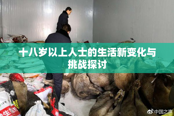 十八岁以上人士的生活新变化与挑战探讨