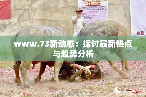www.73新动态：探讨最新热点与趋势分析