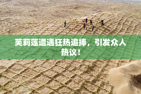 芙莉莲遭遇狂热追捧，引发众人热议！