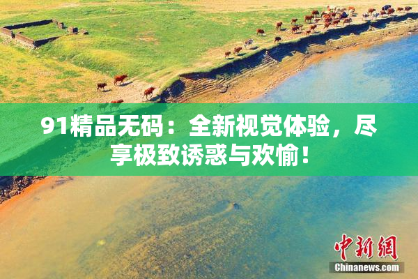 91精品无码：全新视觉体验，尽享极致诱惑与欢愉！