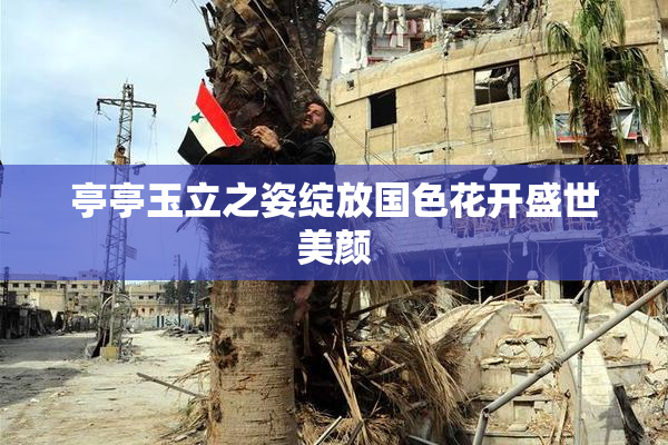 亭亭玉立之姿绽放国色花开盛世美颜