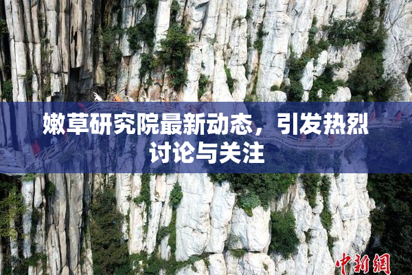 嫩草研究院最新动态，引发热烈讨论与关注