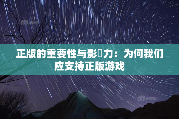 正版的重要性与影響力：为何我们应支持正版游戏