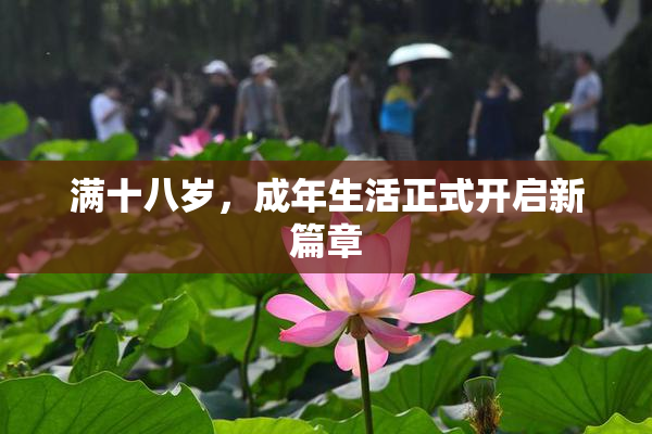 满十八岁，成年生活正式开启新篇章