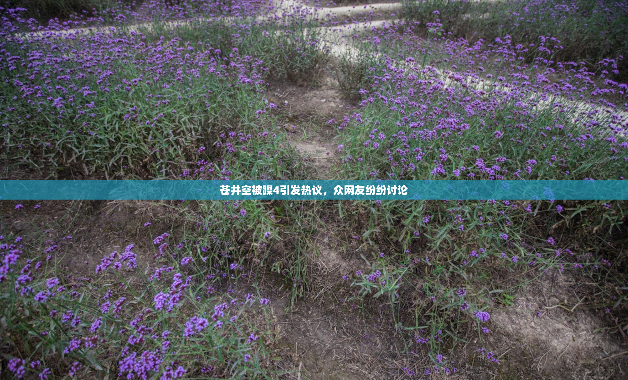 苍井空被躁4引发热议，众网友纷纷讨论