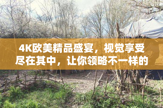 4K欧美精品盛宴，视觉享受尽在其中，让你领略不一样的风景！