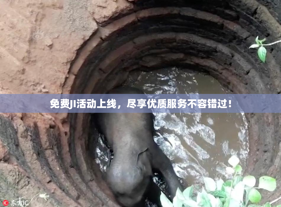 免费JI活动上线，尽享优质服务不容错过！