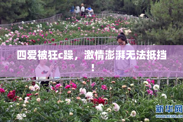 四爱被狂c躁，激情澎湃无法抵挡！