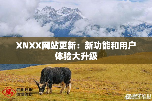 XNXX网站更新：新功能和用户体验大升级