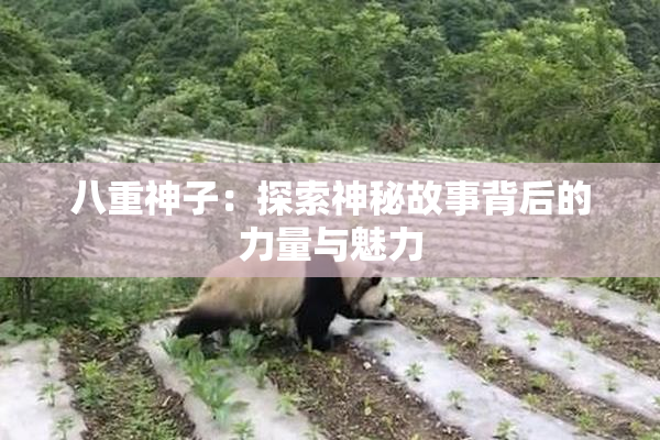 八重神子：探索神秘故事背后的力量与魅力