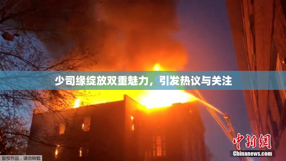 少司缘绽放双重魅力，引发热议与关注