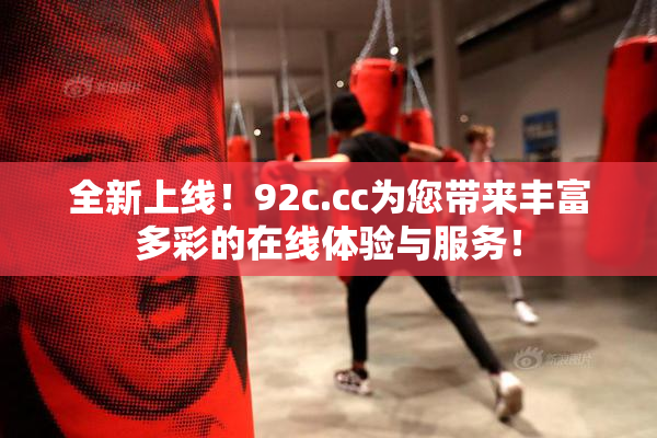 全新上线！92c.cc为您带来丰富多彩的在线体验与服务！