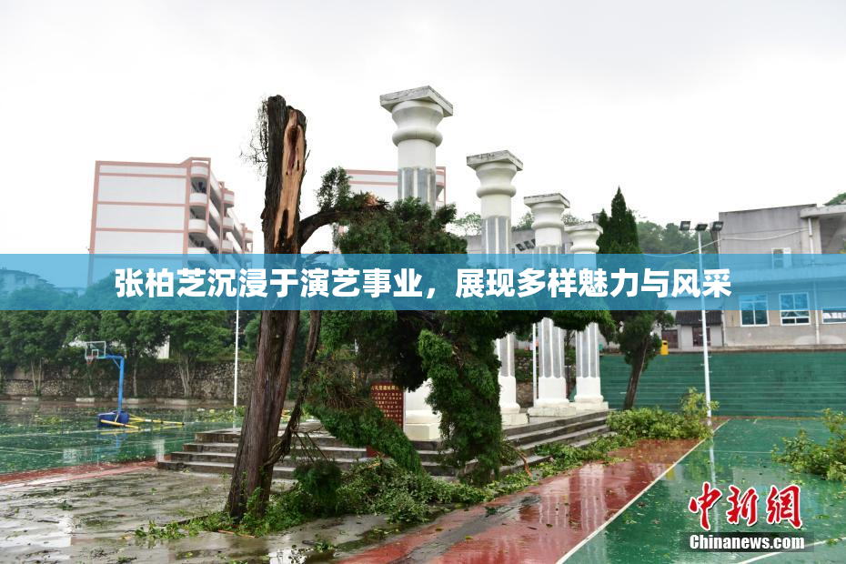 张柏芝沉浸于演艺事业，展现多样魅力与风采