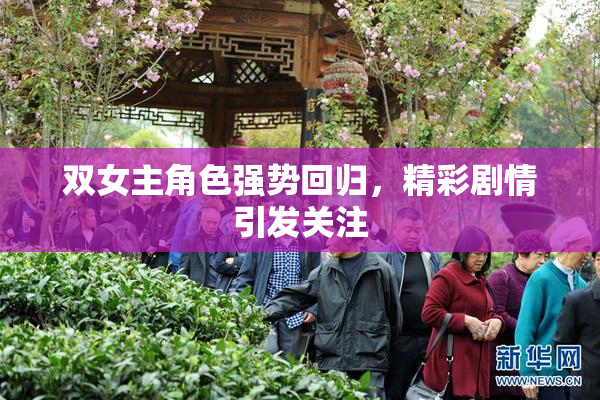 双女主角色强势回归，精彩剧情引发关注
