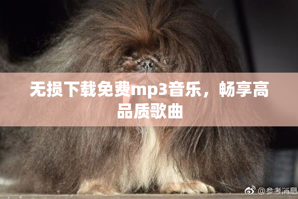 无损下载免费mp3音乐，畅享高品质歌曲