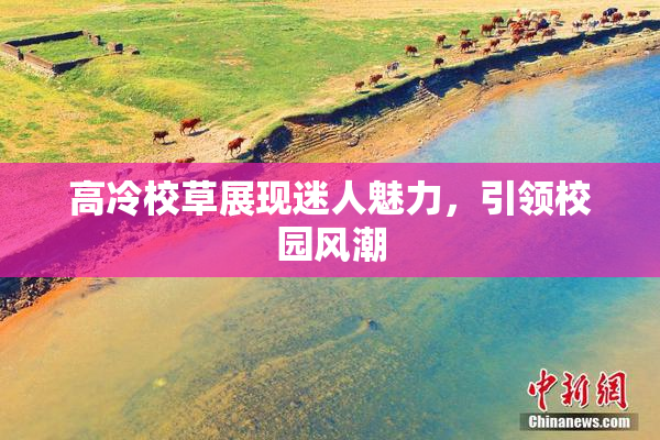 高冷校草展现迷人魅力，引领校园风潮
