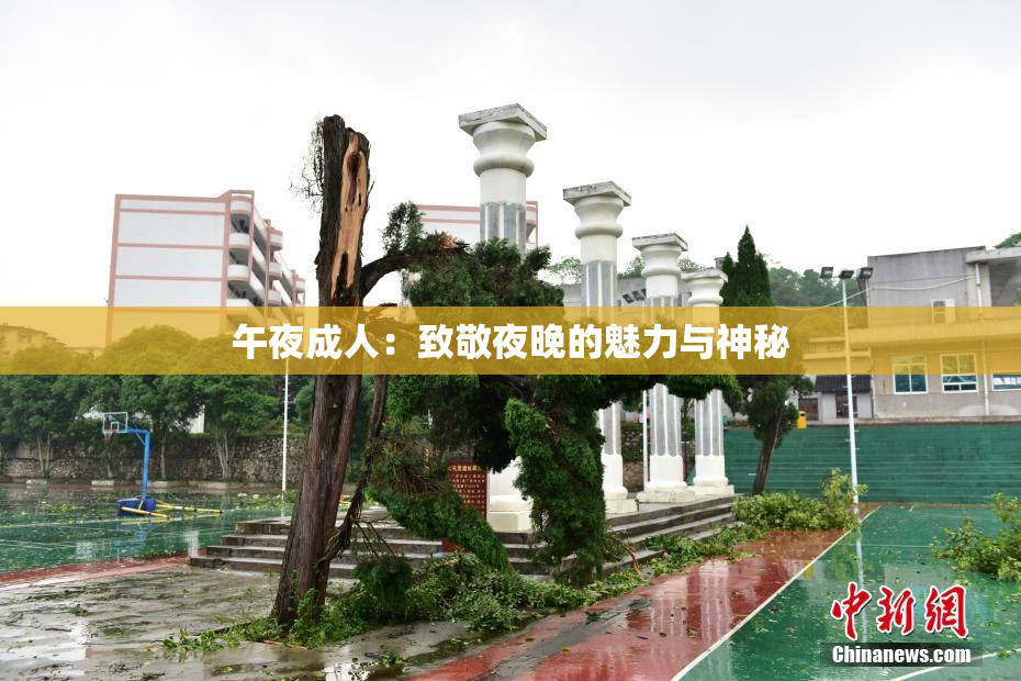 午夜成人：致敬夜晚的魅力与神秘