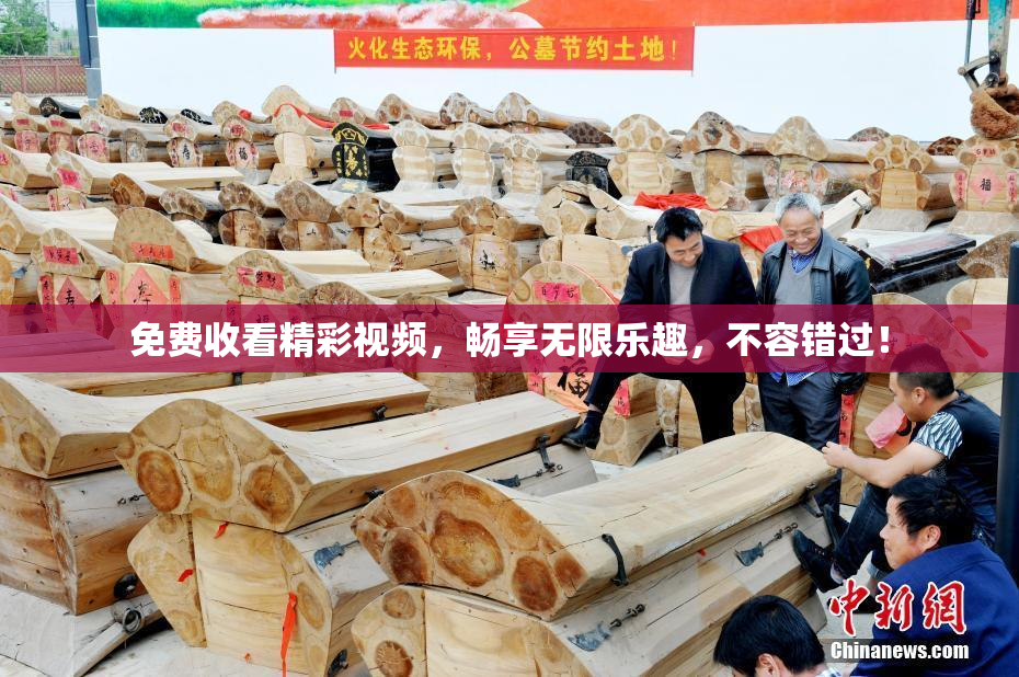 免费收看精彩视频，畅享无限乐趣，不容错过！
