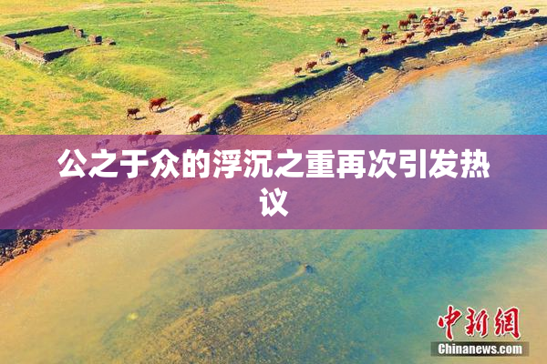 公之于众的浮沉之重再次引发热议