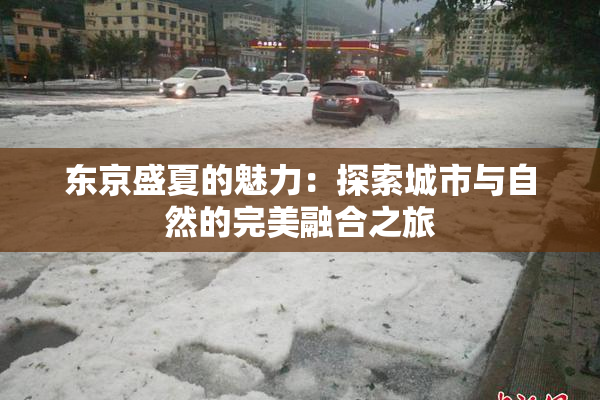 东京盛夏的魅力：探索城市与自然的完美融合之旅