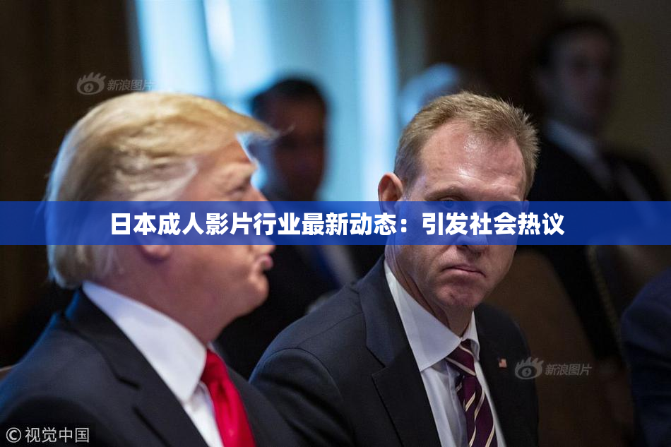 日本成人影片行业最新动态：引发社会热议