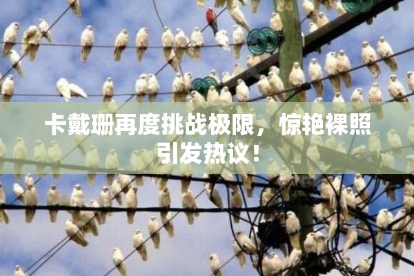 卡戴珊再度挑战极限，惊艳裸照引发热议！