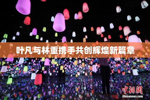 叶凡与林重携手共创辉煌新篇章